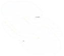 LANXESS Brand Logo